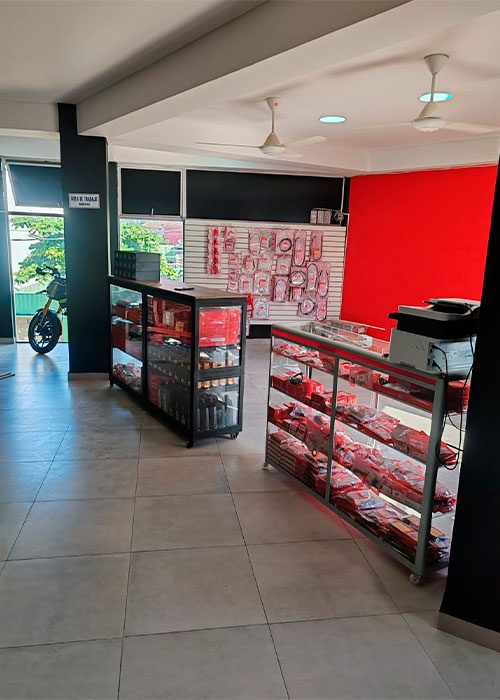 Importancia de los repuestos originales